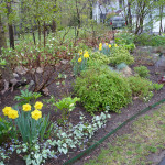 Garden border from Eve Mauger Designs