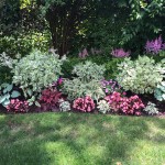 Shady border from Eve Mauger Designs